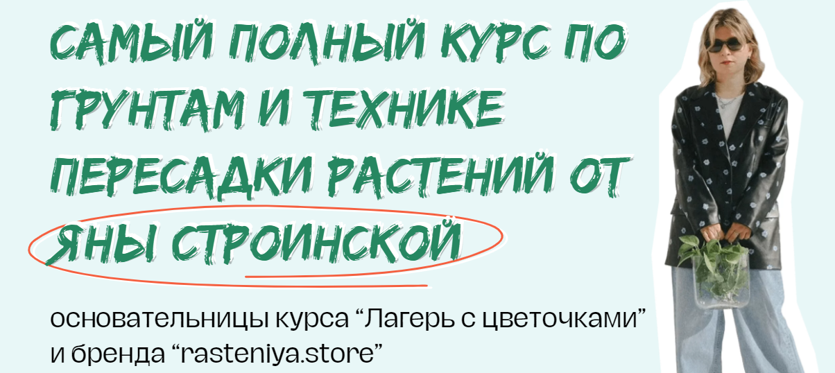 [plants.coach] Яна Строинская ― Мини-курс по перес_0.png